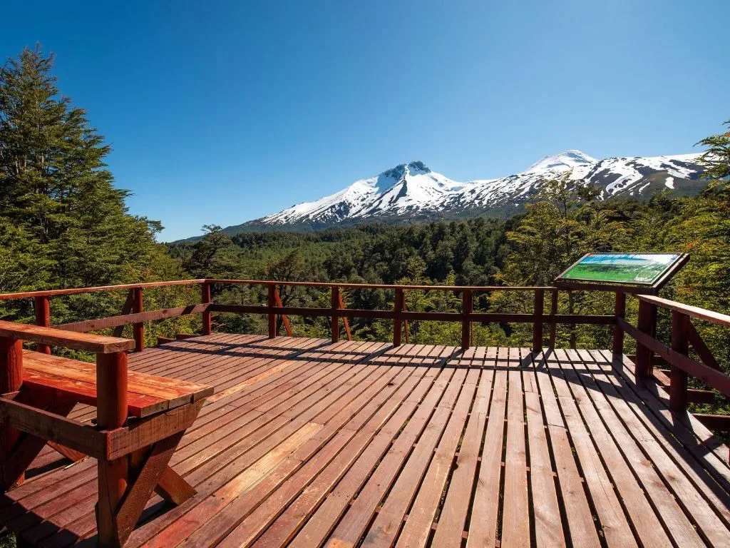 RESERVA MOCHO CHOSHUENCO